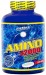 AMINO 2000